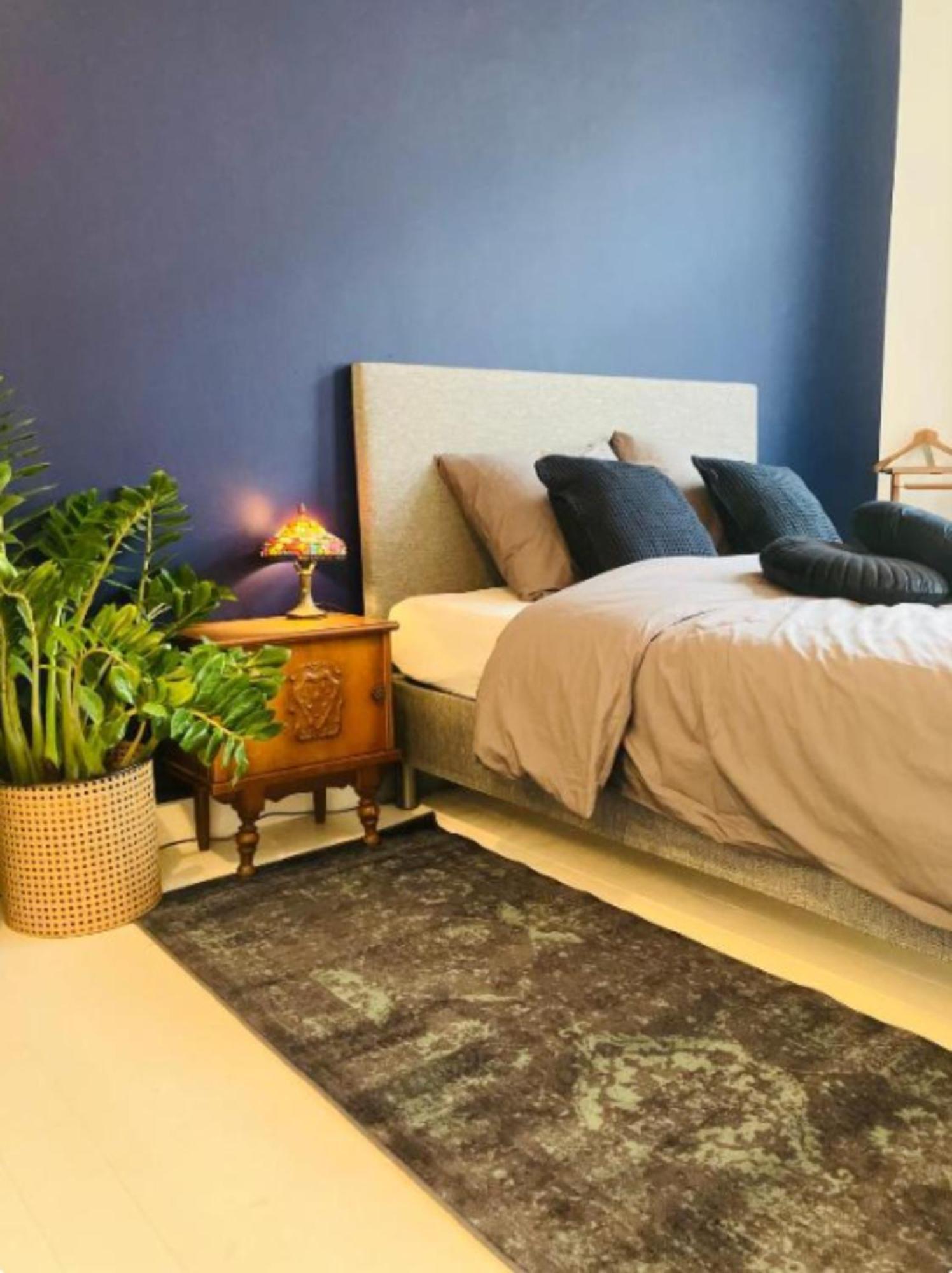 Bnb Suikernest Anvers Dış mekan fotoğraf