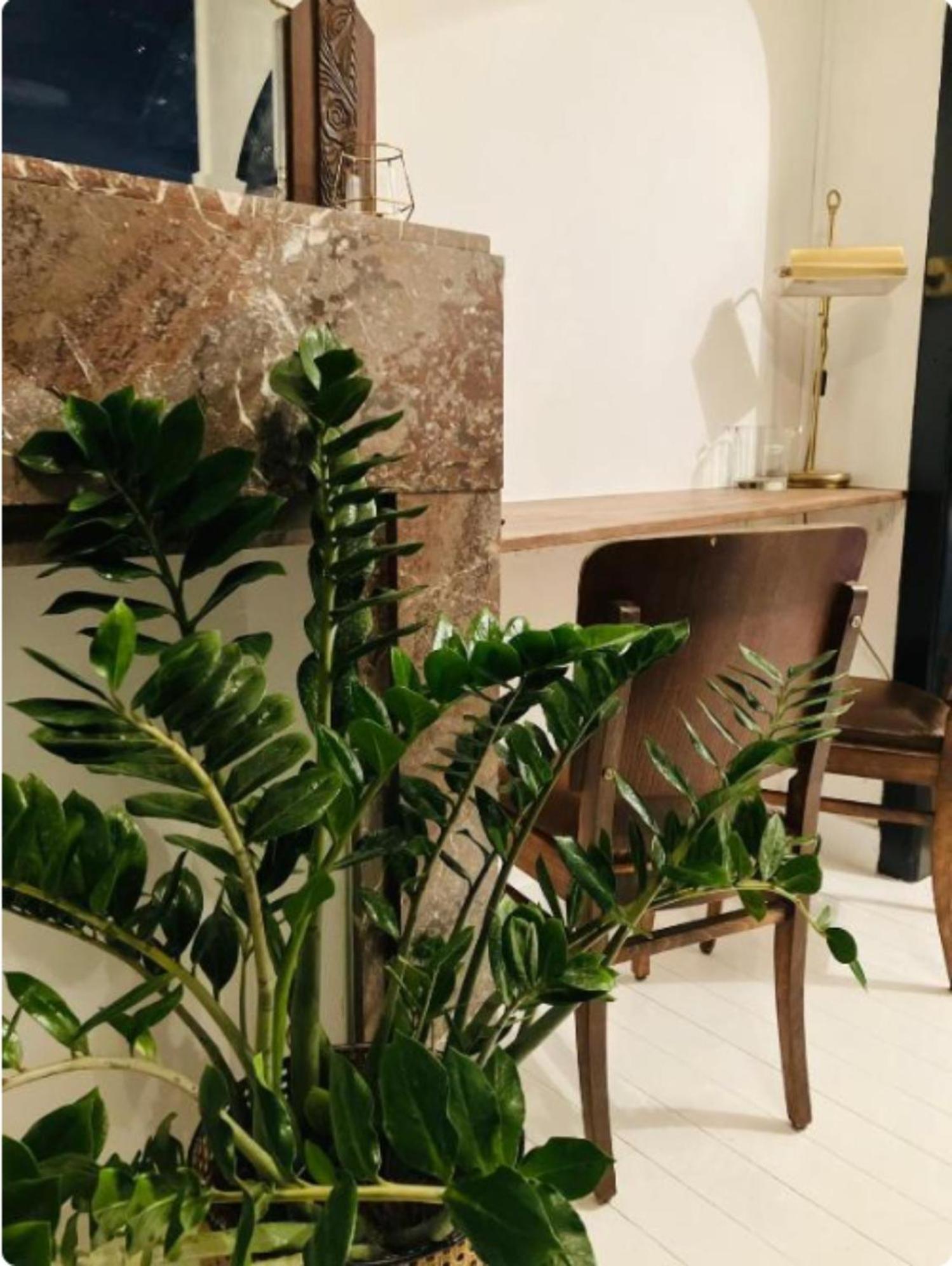 Bnb Suikernest Anvers Dış mekan fotoğraf